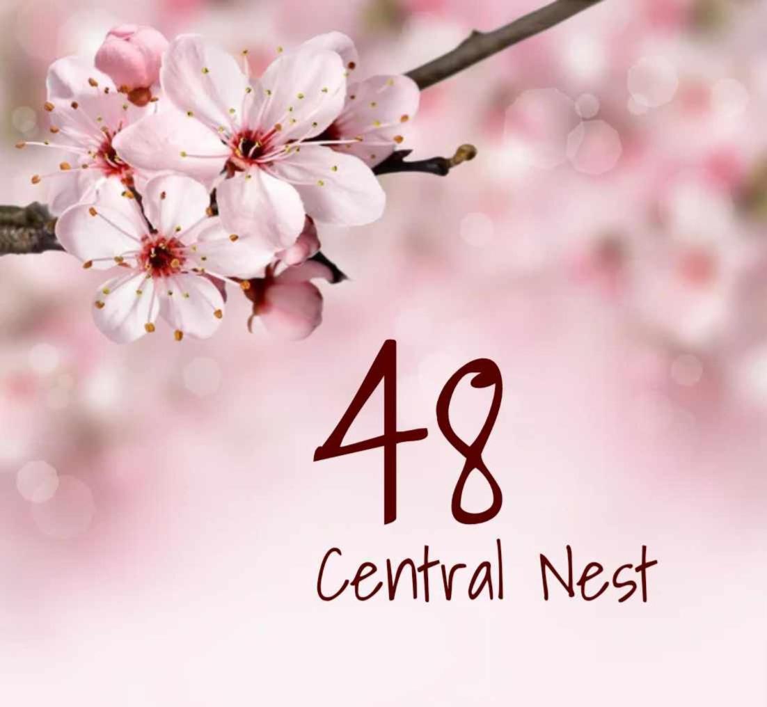 48 Central Nest Volos Esterno foto